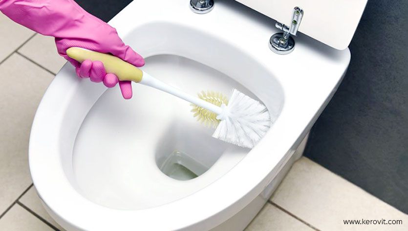 toilet seat