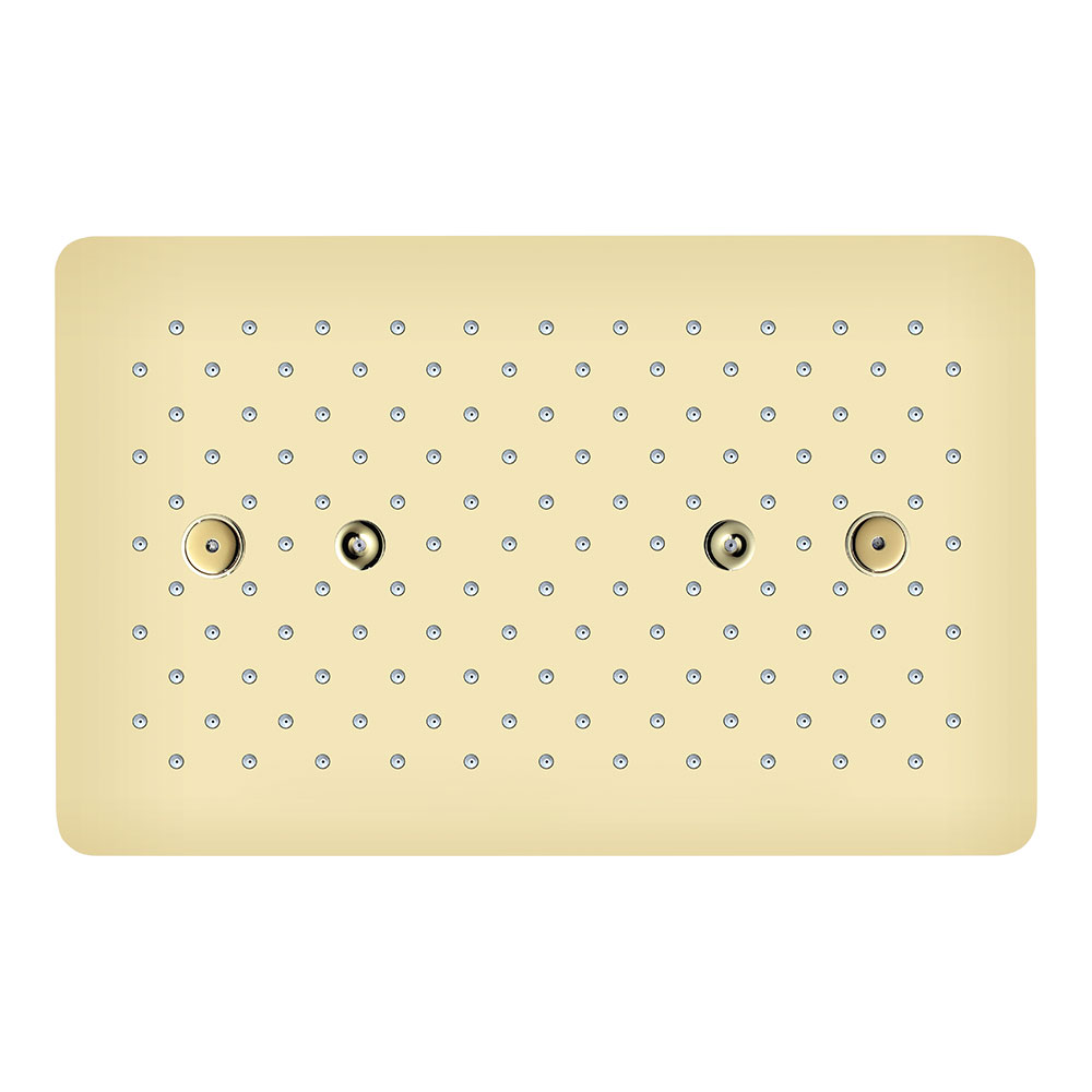 TWO FUNCTIONS CEILING SHOWER WITHOUT CHROMOTHERAPY - SS (RAIN & TWO MISTS)